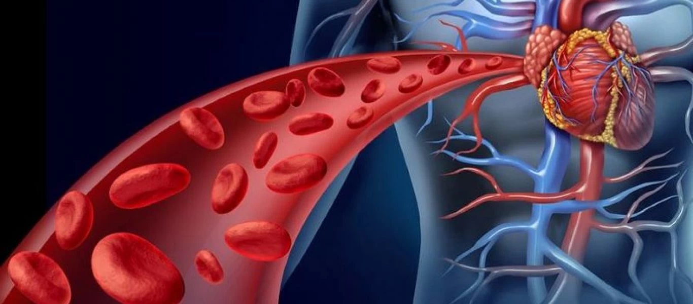 Αυτές είναι οι τροφές που πρέπει να αποφεύγετε αν θέλετε να διατηρήσετε καθαρές τις αρτηρίες σας